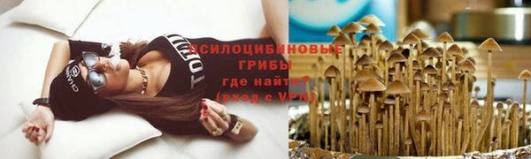 МДПВ Алзамай