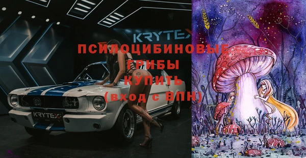 МДПВ Алзамай