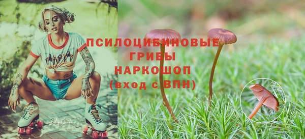 меф Алексин
